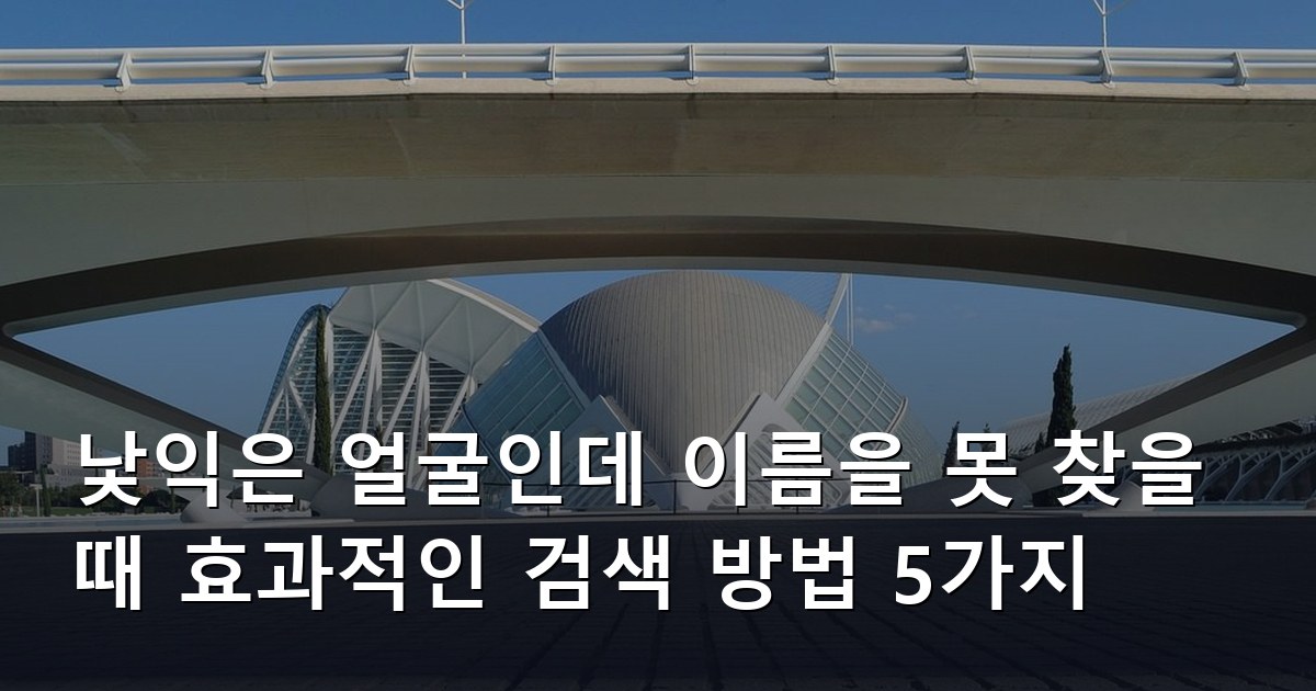 낯익은 얼굴인데 이름을 못 찾을 때 효과적인 검색 방법 5가지